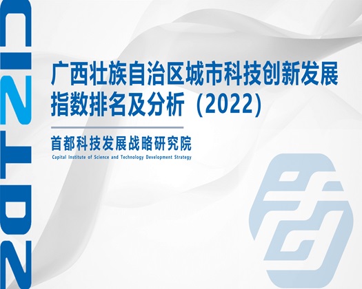 干屄插逼网站【成果发布】广西壮族自治区城市科技创新发展指数排名及分析（2022）